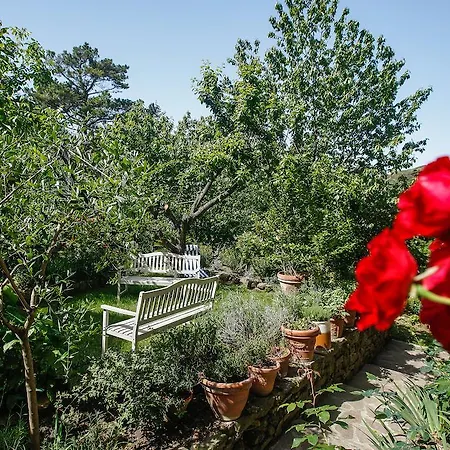 Marconi32 Bed and Breakfast Scansano