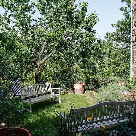 Marconi32 * Scansano