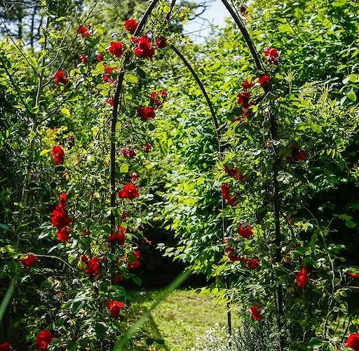 Marconi32 ベッド・アンド・ブレックファスト スカンサーノ