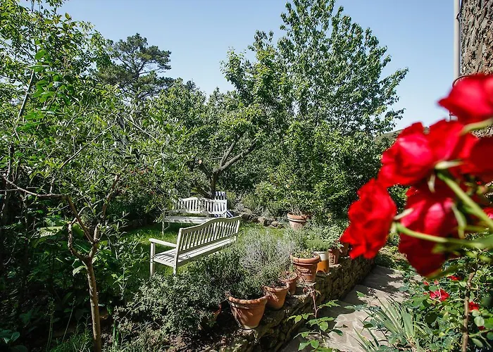 Marconi32 ベッド・アンド・ブレックファスト スカンサーノ